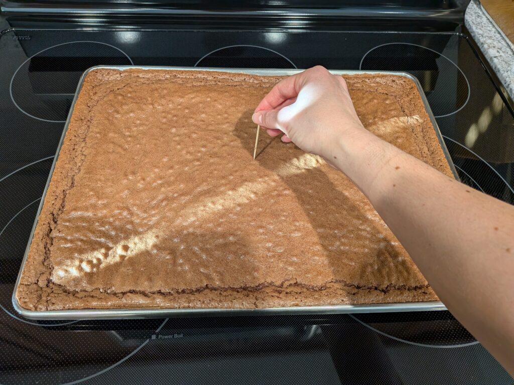 Mom's Homemade Brownies PXL 20260109 170503976 1024x768