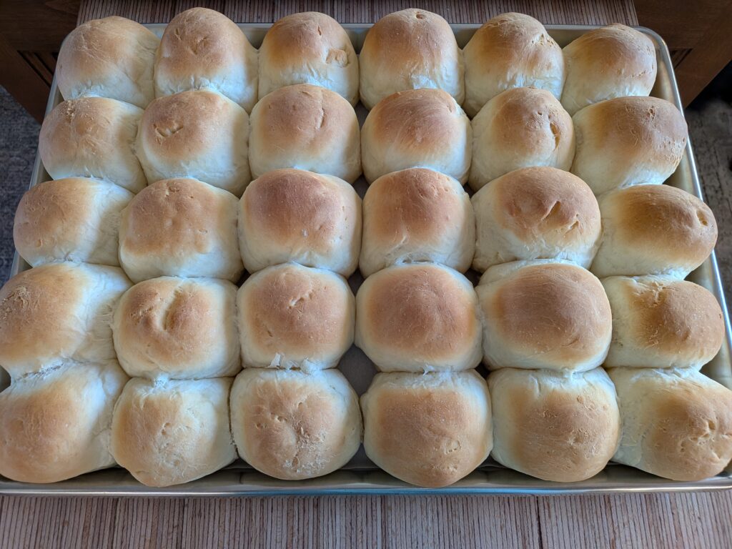 pxl 20260206 000446500