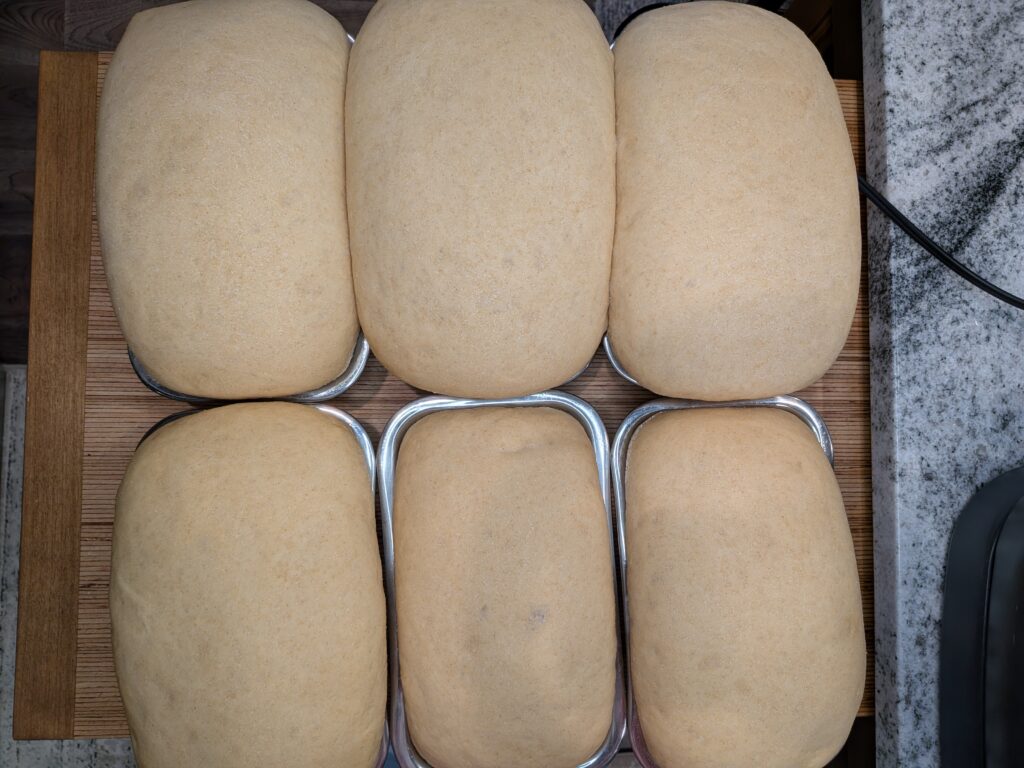 Soft and Fluffy Honey Wheat Bread
